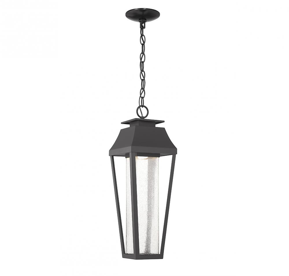 Brookline LED Outdoor Dark Sky Hanging Lantern in Matte Black