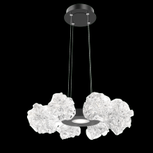 Hammerton CHB0059-24-MB-BC-CA1-L3 - Blossom Radial Ring Chandelier - 24