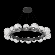 Hammerton CHB0092-51-MB-C-CA1-L1 - Gaia Radial Ring Chandelier