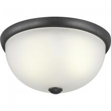 Progress P350044-143 - Two-Light 14" Glass Dome Flush Mount