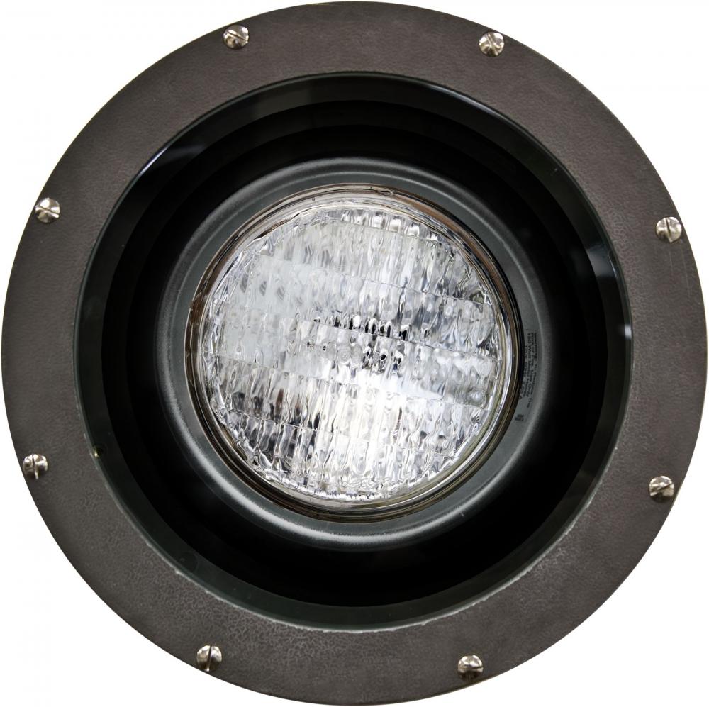 FIBERGLASS WELL LIGHT 100W MH DE 120V