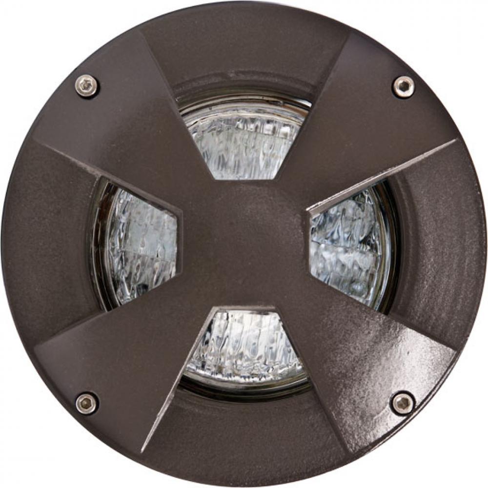 WELL LIGHT W/DRIVEOVER CVR W/ SLV 9W LED PAR36 12V