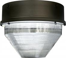 Dabmar DW8724-MT - MED ROUND CEILING FIX 100W MH MT