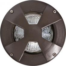 Dabmar LV307-LED14-BZ-SLV - WELL LIGHT W/DRIVEOVER CVR W/ SLV 14W LED AR-111 12V