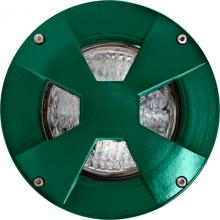 Dabmar LV307-LED6-G-SLV - WELL LIGHT W/DRIVEOVER CVR W/ SLV 6W LED PAR36 12V