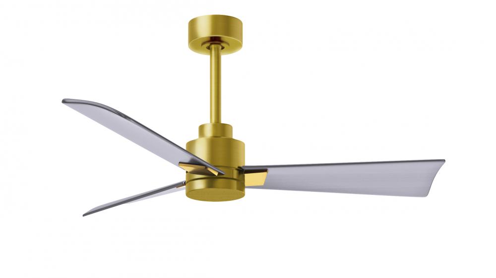 Alessandra 3-blade transitional ceiling fan in a brushed brass finish with brushed nickel blades.