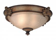 Dolan Designs 2456-54 - Two Light Canyon Clay Bowl Flush Mount