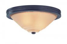 Dolan Designs 2719-78 - Two Light Bolivian Bowl Flush Mount