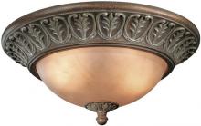 Dolan Designs 844-38 - Two Light Sante Fe Bowl Flush Mount