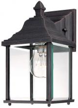 Dolan Designs 931-53 - One Light Rustique Wall Lantern