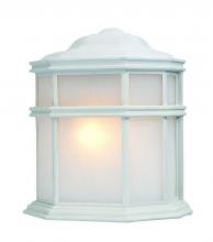 Dolan Designs 945-05 - One Light Matte White Wall Lantern