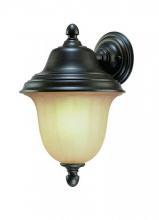 Dolan Designs 9725-68 - One Light Winchester Wall Lantern