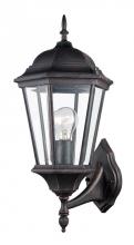 Trans Globe 4250 RT - San Rafael 23" Wall Lantern