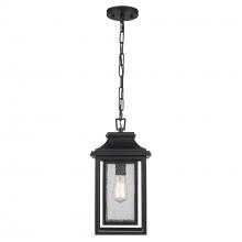 Trans Globe 51694 BK - Bosque 1 - Light Outdoor Pendant