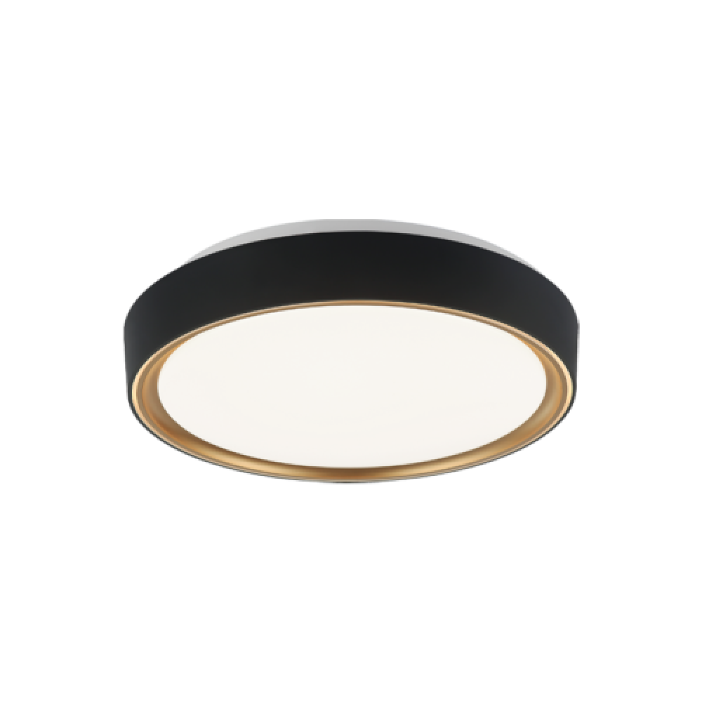 Alamus Ceiling Mount