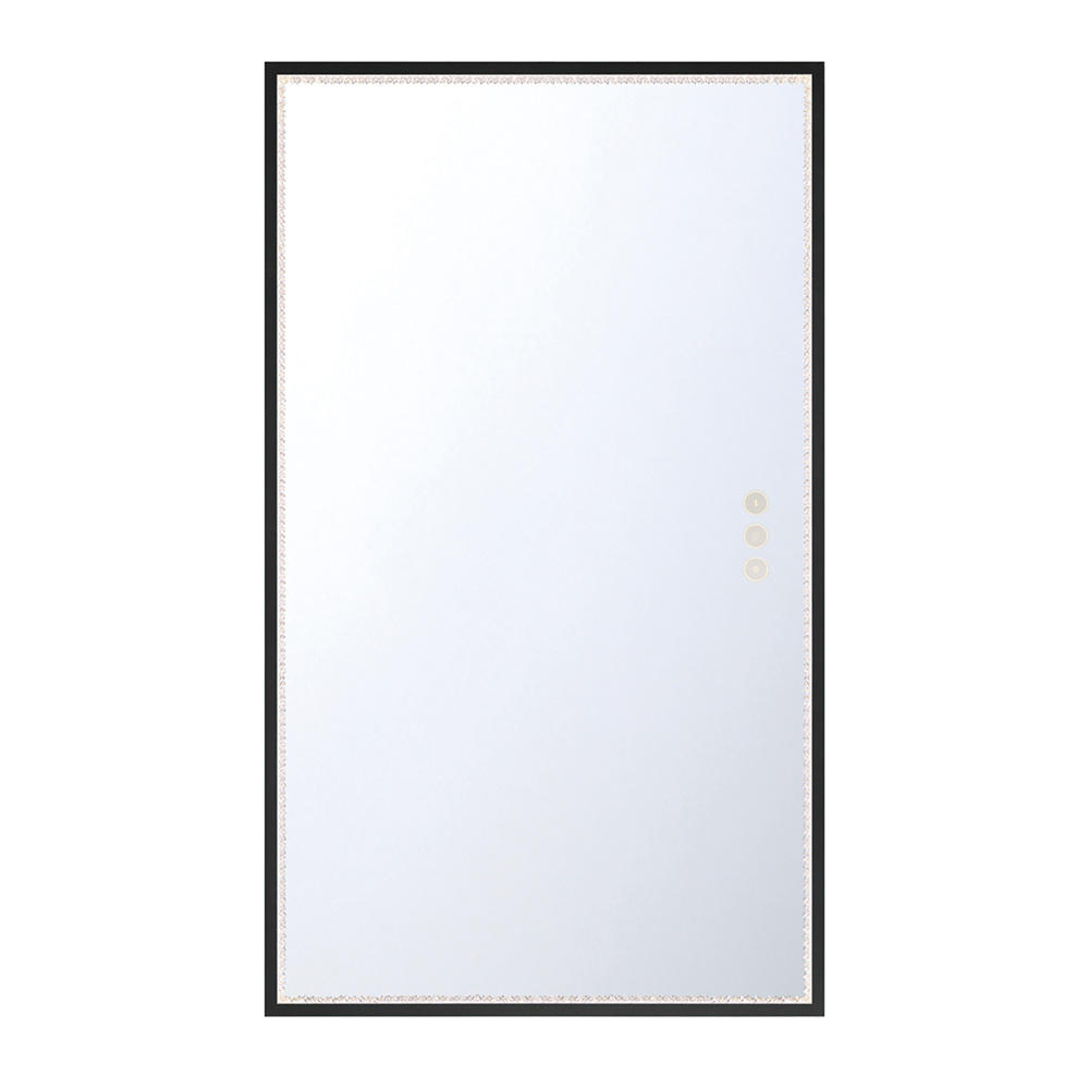 Cerissa 54" Rectangular Mirror in Black