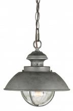 Vaxcel International T0265 - Harwich 10-in Outdoor Pendant Textured Gray