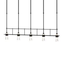 Hubbardton Forge 137725-SKT-SHRT-10-ZM0343 - Erlenmeyer 5 Light Pendant