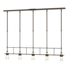 Hubbardton Forge 137725-SKT-STND-05-ZM0343 - Erlenmeyer 5 Light Pendant