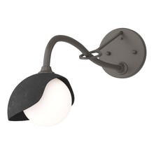 Hubbardton Forge 201376-SKT-07-10-GG0711 - Brooklyn 1-Light Single Shade Long-Arm Sconce