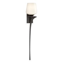 Hubbardton Forge 204710-SKT-RGT-14-GG0236 - Antasia Single Glass 1 Light Sconce