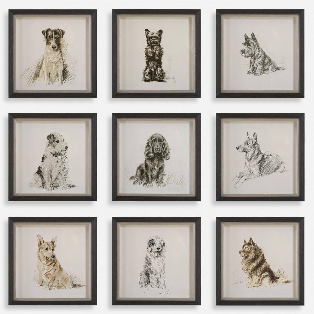 Uttermost Loyal Companion Framed Dog Prints, S/9